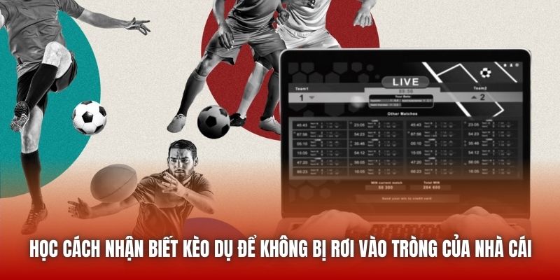 Học cách nhận biết kèo dụ để không bị rơi vào tròng của nhà cái