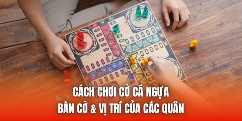 Cách chơi cờ cá ngựa - Bàn cờ & vị trí của các quân