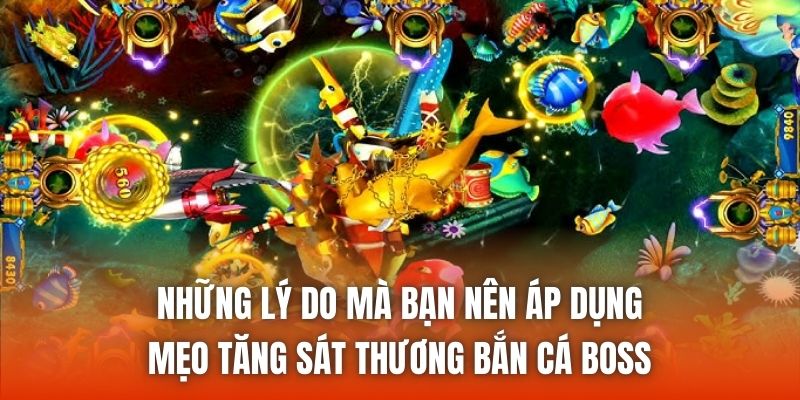 Những lý do mà bạn nên áp dụng mẹo tăng sát thương bắn cá boss